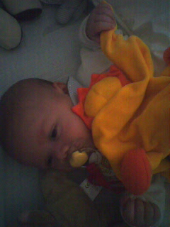 seb ac sa pluche lion